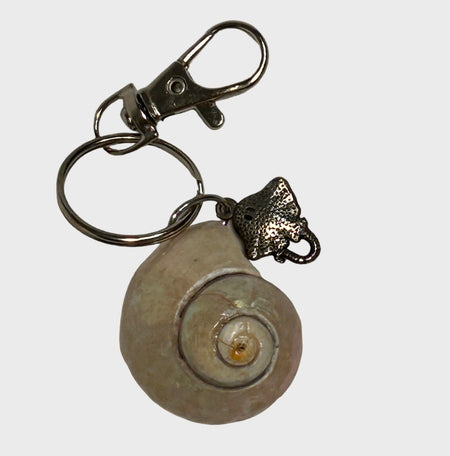 Key Chain - Top Snail - Ray 