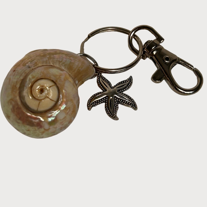 Key Chain with Resin Coated Shell and Starfish Charm