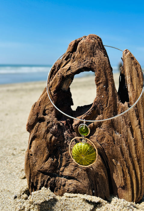 Sterling Silver Choker With Sea Urchin Shell Pendant