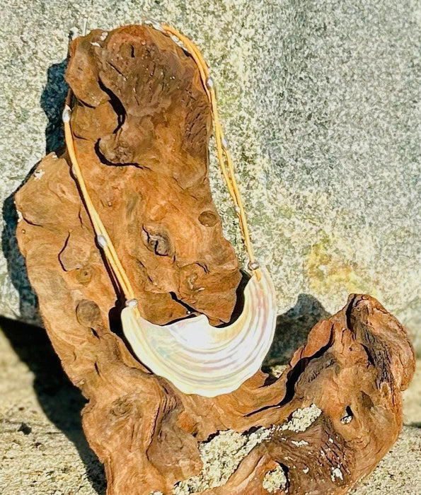 Brown Leather Necklace with Polished Turban Shell