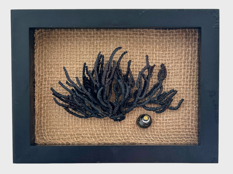 Shadow Box Small